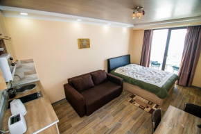 Gudauri Shiny Studio near Gondola